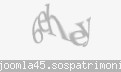 Codul de securitate