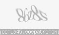 Codul de securitate