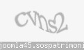 Codul de securitate