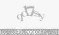 Codul de securitate