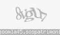 Codul de securitate