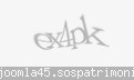 Codul de securitate