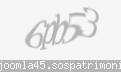 Codul de securitate
