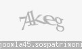 Codul de securitate