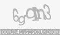 Codul de securitate
