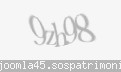 Codul de securitate