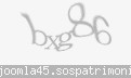 Codul de securitate