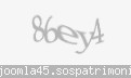 Codul de securitate