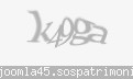 Codul de securitate