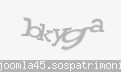 Codul de securitate