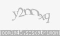 Codul de securitate