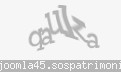 Codul de securitate
