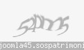Codul de securitate