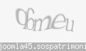 Codul de securitate