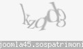 Codul de securitate