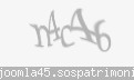 Codul de securitate