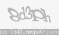Codul de securitate