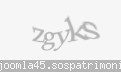 Codul de securitate