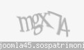 Codul de securitate