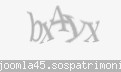 Codul de securitate