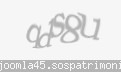 Codul de securitate