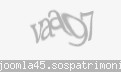 Codul de securitate