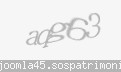 Codul de securitate