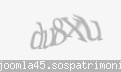 Codul de securitate