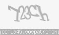 Codul de securitate