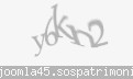 Codul de securitate