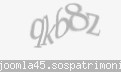Codul de securitate
