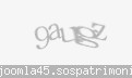 Codul de securitate