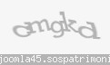 Codul de securitate