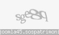 Codul de securitate