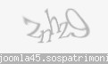 Codul de securitate