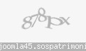 Codul de securitate