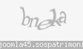 Codul de securitate