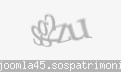 Codul de securitate