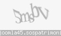 Codul de securitate