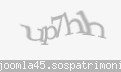 Codul de securitate