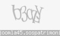 Codul de securitate