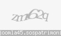 Codul de securitate