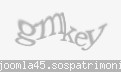 Codul de securitate