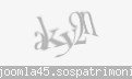 Codul de securitate