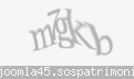 Codul de securitate