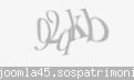 Codul de securitate