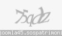 Codul de securitate