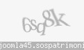Codul de securitate