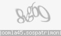 Codul de securitate