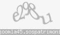 Codul de securitate